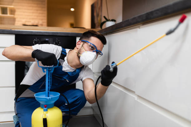 Wasp Removal Services in Panthersville, GA