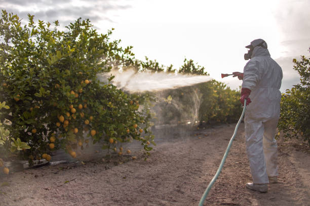 Best Best Pest Control Companies  in Panthersville, GA