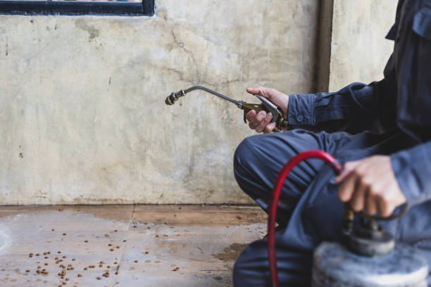 Best Residential Pest Control  in Panthersville, GA